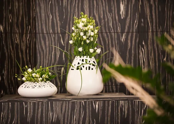 蒙特雷索大楼酒店 布索伦戈